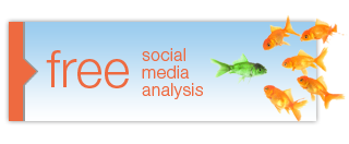 Free Social Media Analysis